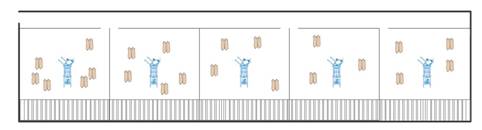 200頭母豬小圈飼喂