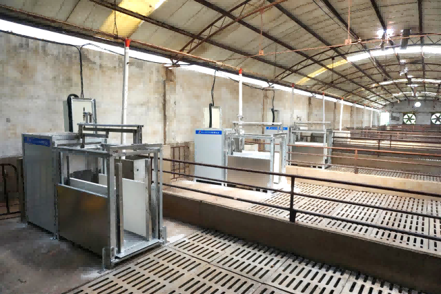 種豬測(cè)定站