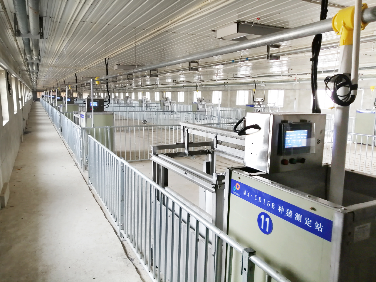 種豬測(cè)定站