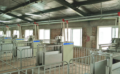 種豬測(cè)定站